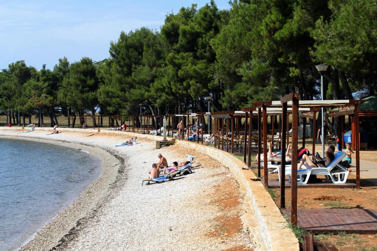 Apartments With A Parking Space Novigrad - 14408 外观 照片