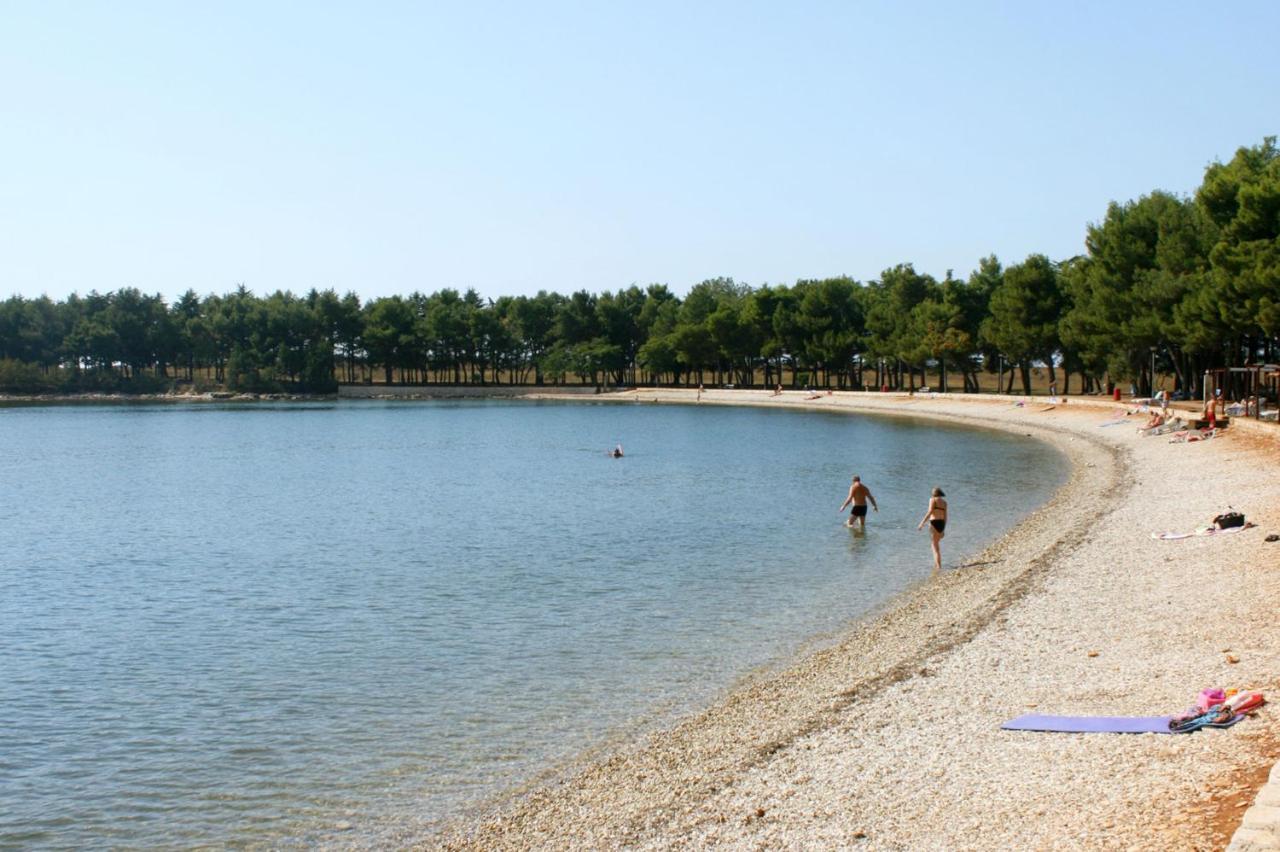 Apartments With A Parking Space Novigrad - 14408 外观 照片
