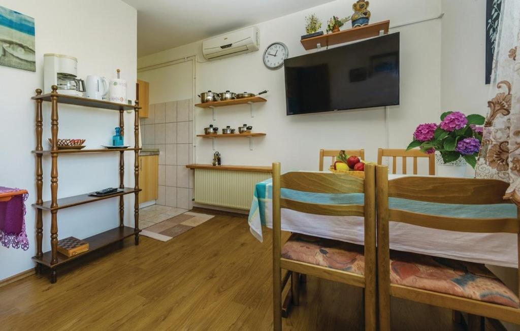 Apartments With A Parking Space Novigrad - 14408 外观 照片